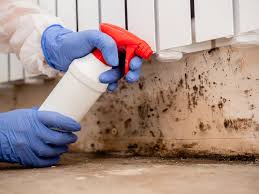 Best HVAC Mold Inspection and Cleaning  in Yaphank, NY